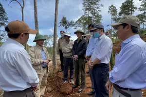 Chủ tịch Lâm Đồng yêu cầu kiểm điểm người đứng đầu vụ 1,9 ha rừng bị phá