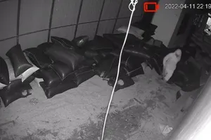 Hiện trường vụ trộm 14 bao tiêu khô