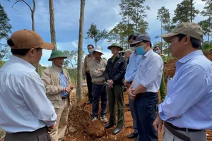 Chủ tịch UBND tỉnh Lâm Đồng kiểm tra công tác bảo vệ rừng