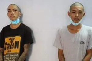 Đem xe lôi đến tòa thánh trộm tượng voi