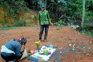 Xác minh thông tin hổ xuất hiện ở huyện Bảo Lâm