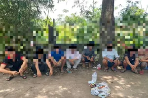 Tổ chức đá gà, quay trực tiếp để người chơi cá cược qua mạng