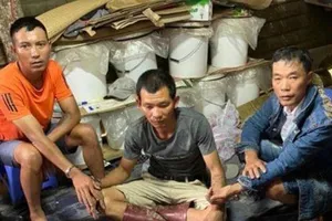 Sòng xóc đĩa cử người canh gác bằng bộ đàm giữa rừng, giáp ranh Lâm Đồng và Đắk Nông