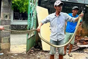 Chủ quan sau khi rắn hổ chúa dài 2m cắn, 1 người tử vong