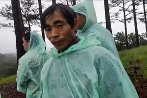 Bắt ba người triệt hạ 318 cây thông để chiếm đất ở TP Đà Lạt