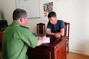 Gỡ 7 camera vào chặt 14 cây sầu riêng của chị ruột vì giận 