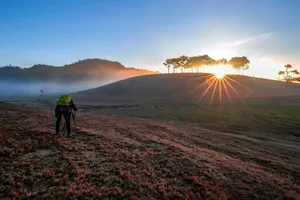 Lên Lâm Đồng dự Festival hoa Đà Lạt: Đừng quên 'check in' đồi cỏ hồng