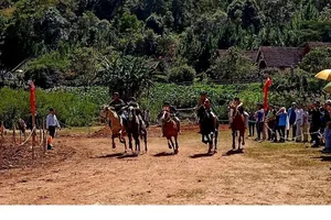 Lạc Dương tổ chức đua ngựa không yên chào mừng Festival hoa Đà Lạt