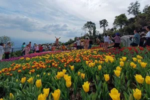 Rực rỡ sắc màu du lịch Tây Ninh 