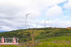 Phạt chủ đầu tư Nhà máy điện gió Cầu Đất 1,4 tỷ đồng