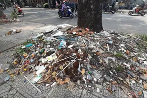 Những gốc cây 'nghẹt thở' bởi rác xà bần