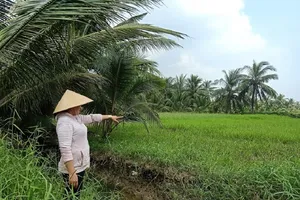 Chấp hành viên làm sai, dân lãnh đủ
