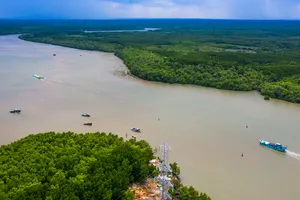 Rừng tự nhiên TP.HCM tăng ảo do... lỗi phần mềm