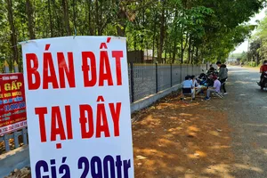 Ồ ạt làm sân bay: Coi chừng lãng phí nguồn lực