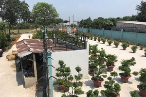 Tòa xử trả đất nhưng quên… chuồng bò