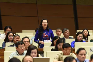 Đại biểu Quốc hội thảo luận về án oan