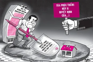 Thua kiện, chủ tịch tỉnh đề nghị giám đốc thẩm