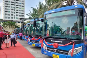 TP.HCM: Đấu thầu khai thác xe buýt đang khởi sắc