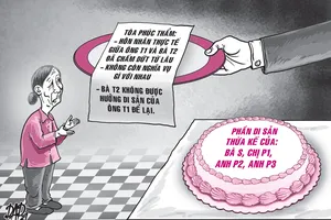 1 án lệ hay về chấm dứt hôn nhân thực tế