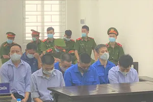 Cựu thanh tra giao thông 'bảo kê logo xe vua' bị 5 năm tù