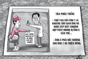 Kiện người cản trở canh tác lúa trên đất trúng đấu giá