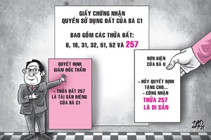 Dự thảo án lệ về hiệu lực hợp đồng tặng cho quyền sử dụng đất