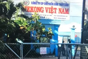 Cà Mau: Đỏ mắt tìm tài sản thi hành án