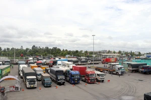 Báo cáo Phó Thủ tướng việc ách tắc hàng hóa ở Cần Thơ