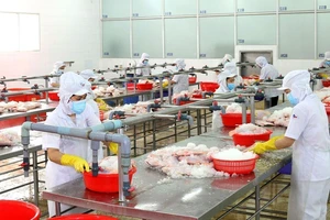 Những dự tính ban đầu cho bình thường mới ở TP.HCM