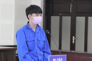 Công chứng viên không phát hiện giấy tờ giả có phải bồi thường?