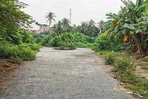 Hải Phòng: 7.400 m2 đất bị bỏ hoang vì vướng tranh chấp