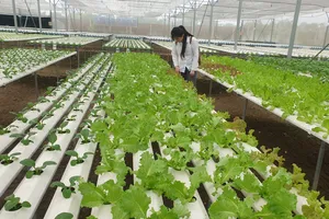 TP.HCM lắp đặt thêm camera giám sát chất lượng vệ sinh môi trường