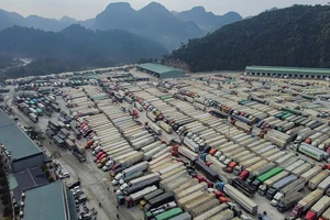 Muốn tăng đường chính ngạch phải tuân thủ luật chơi