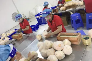 Phục hồi kinh tế năm 2022: Doanh nhân mong muốn gì?