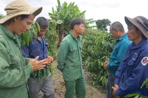 Lập luận của VKSND Cấp cao Đà Nẵng trong kháng nghị giám đốc thẩm vụ cưa gỗ khô