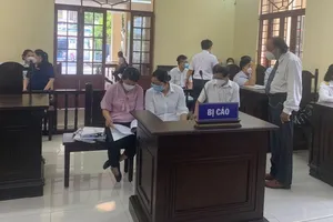 Vụ biến đất mặt tiền thành đất hẻm để trốn thuế: Có dấu hiệu bỏ lọt tội phạm