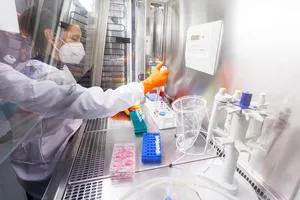 Đậu mùa khỉ lây nhanh nhưng khó thành đại dịch