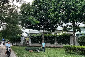 Cần xử lý mạnh tay việc chó thả rông cắn người