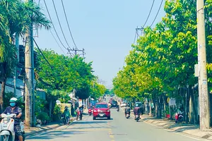 Lý do TP.HCM cần thí điểm đổi đất nông nghiệp lấy đất ở 