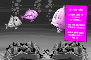 Tranh chấp cây chà trên biển, giải quyết sao?