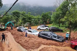 Sạt lở khắp nơi: Lời cảnh báo của thiên nhiên! 