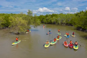 2 năm nữa sẽ khai thác du lịch toàn tuyến sông Sài Gòn
