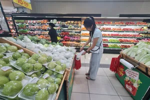 TP.HCM sẽ không phát túi nylon khó phân hủy cho người đi siêu thị