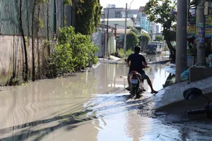 TP.HCM: Nhiều tuyến đường được Nhà nước và người dân cùng làm