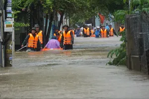 Đà Nẵng bàn giải pháp chống ngập lụt đô thị