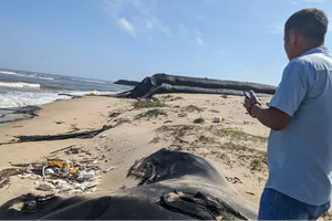 Quảng Trị: Cát nạo vét luồng cảng biển lại trôi về biển