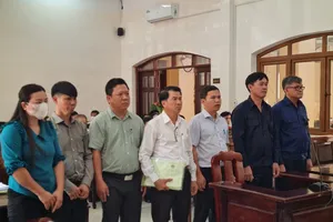 Vụ cấp 2,5 ha đất công và lời khai của giám định viên