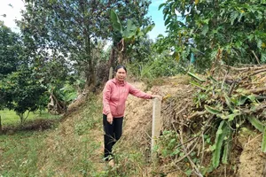 Chậm khắc phục hậu quả sau khi tổ chức thi hành án trái luật