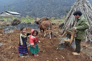 Sai phạm hàng tỉ đồng, chỉ xin rút kinh nghiệm