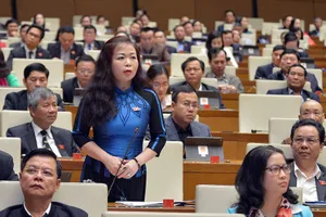 Đại biểu Vũ Thị Lưu Mai - Đoàn đại biểu Quốc hội TP Hà Nội phát biểu tại phiên thảo luận.